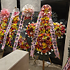 https://ceremonyflower.com/data/editor/2606/thumb-ee15e08c308b07c29987270e8c81bcc4_1781750267_3887_100x100.png
