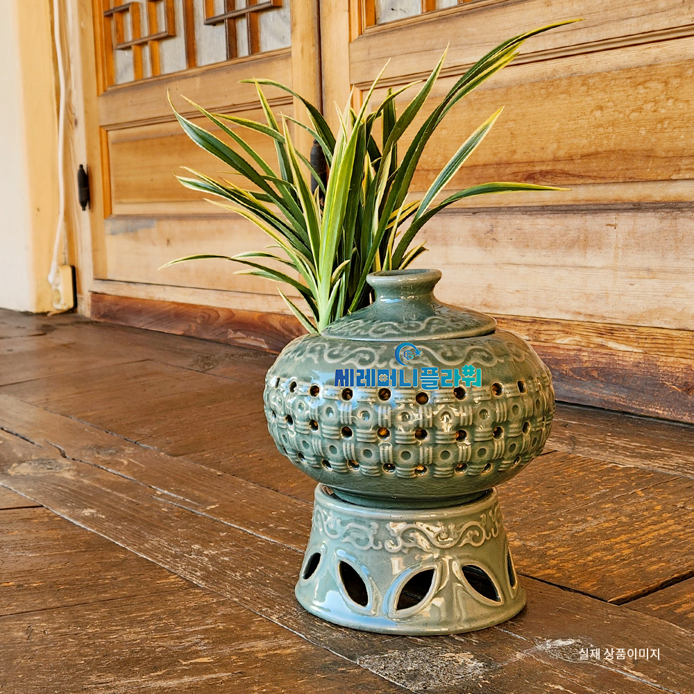 동양란4호 대국 청자