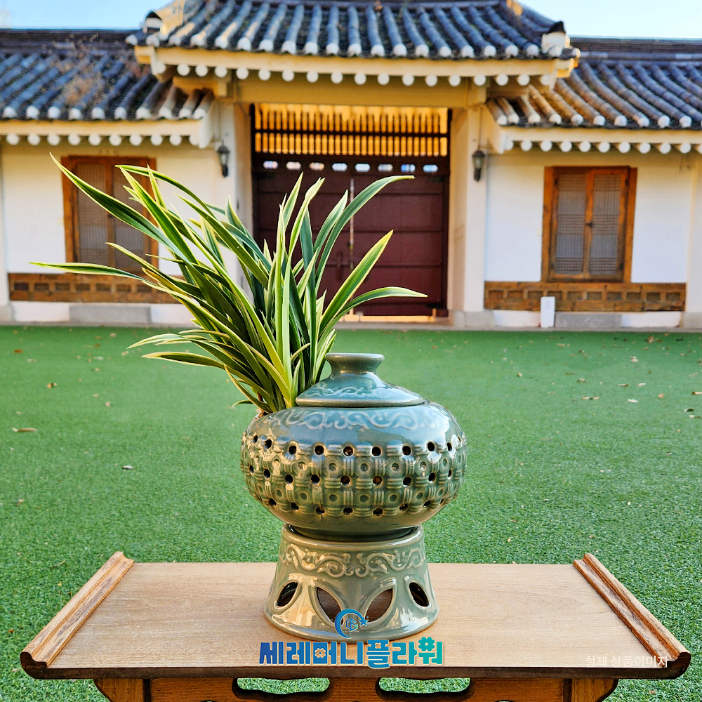 동양란4호 대국 청자