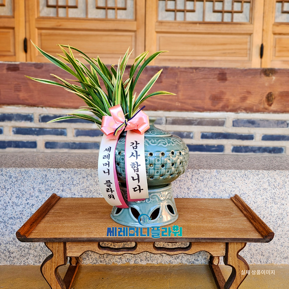 동양란4호 대국 청자