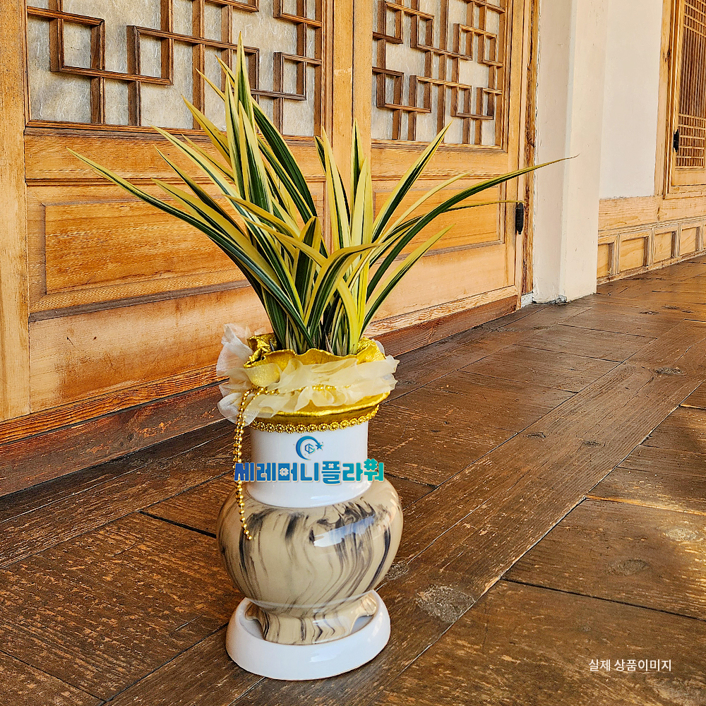 동양란11호 황금일향 고급분