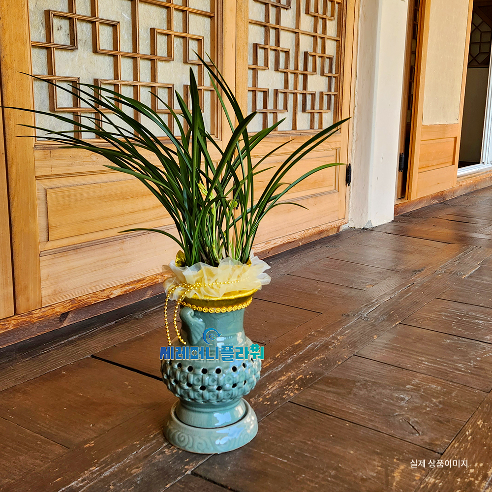 동양란3호 철골소심 청자