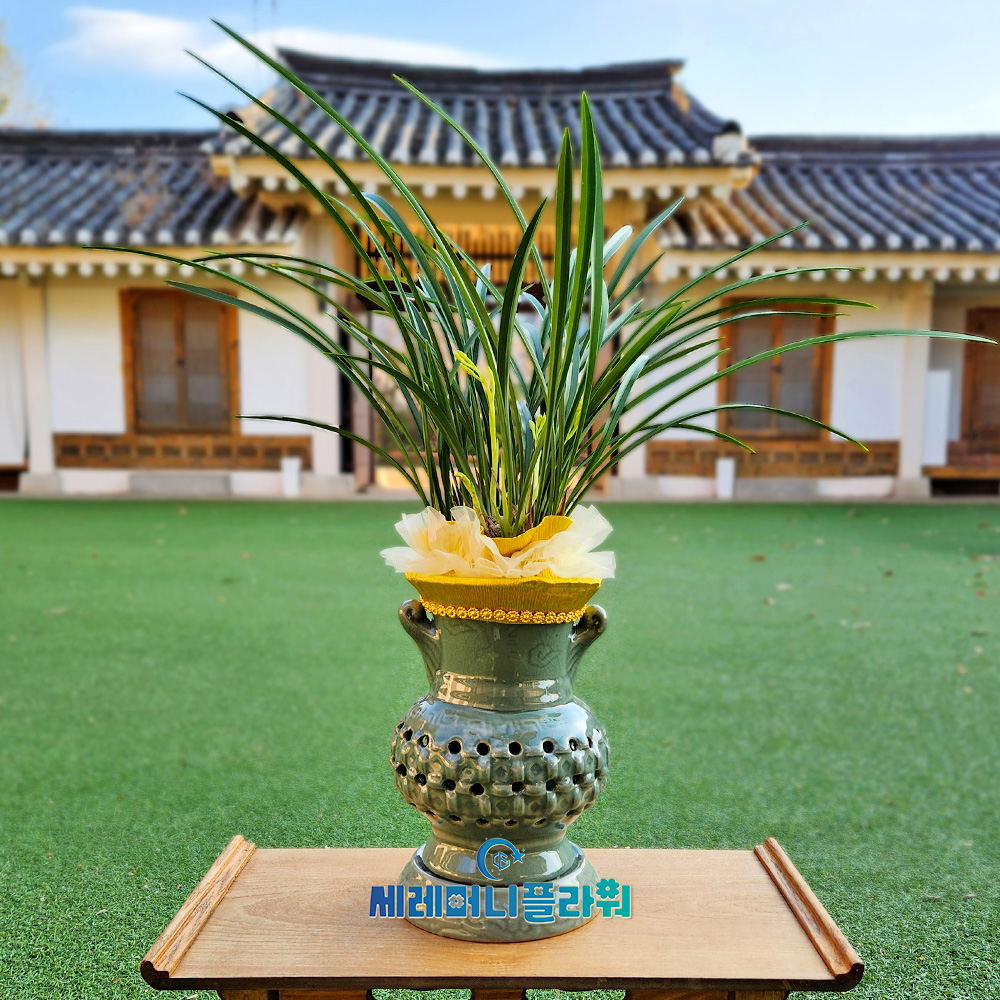 동양란2호 철골소심 청자