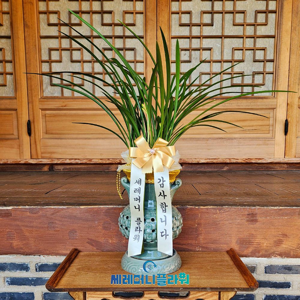 동양란2호 철골소심 청자