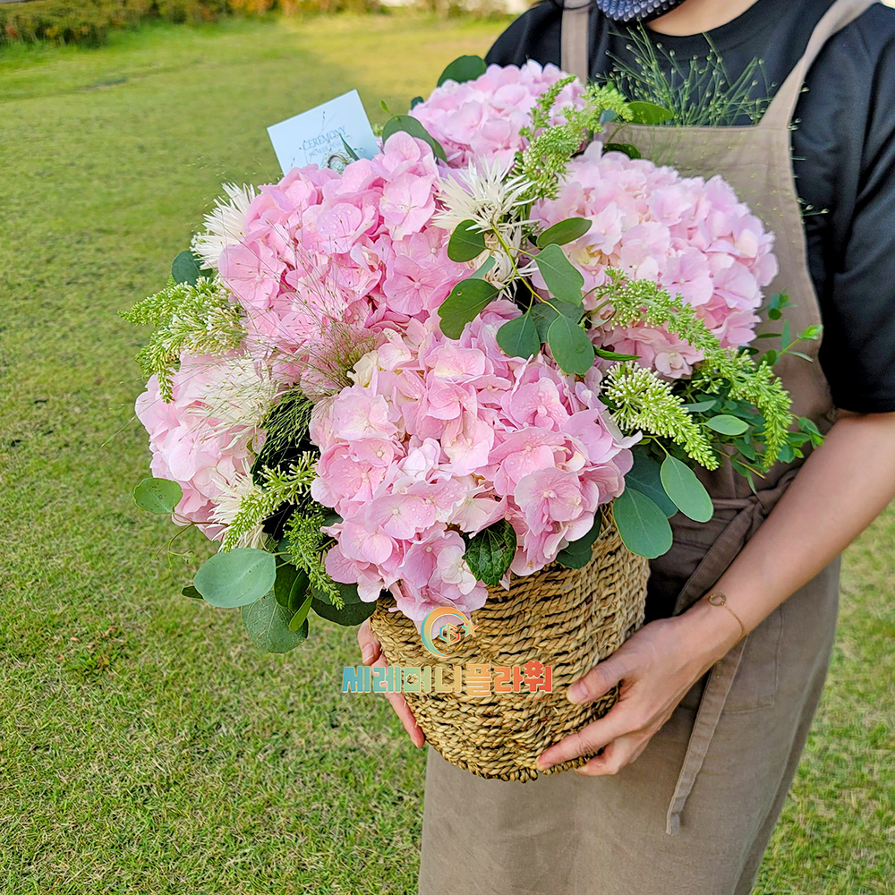 꽃바구니13호