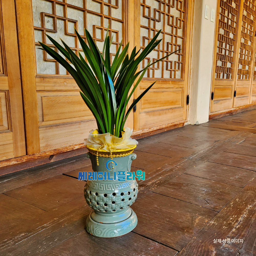 동양란2호 고급 계절난