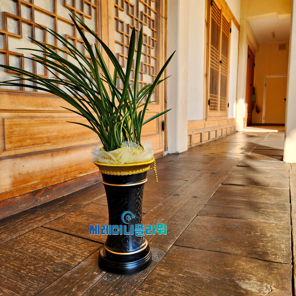 동양란1호 계절난 (철골,보세)