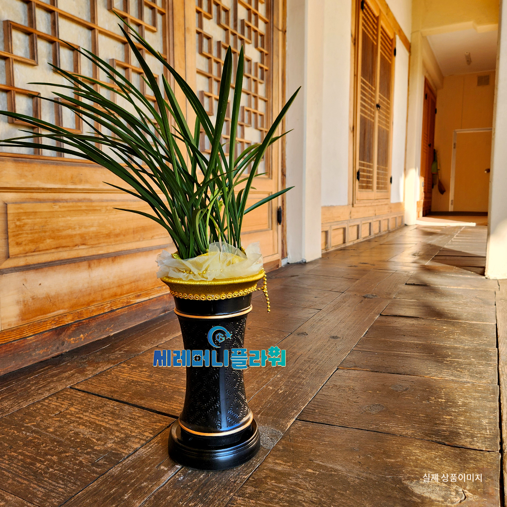 동양란1호 계절난