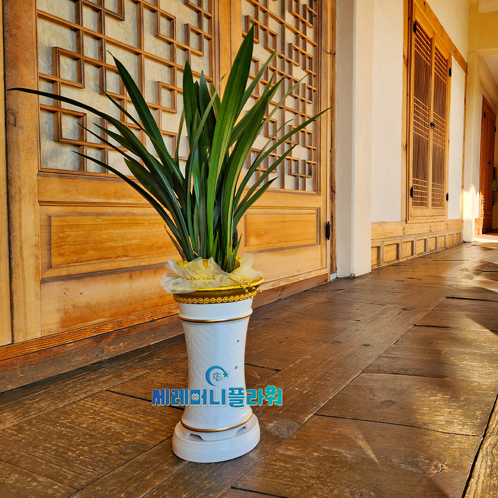 동양란1호 계절난 (철골,보세)