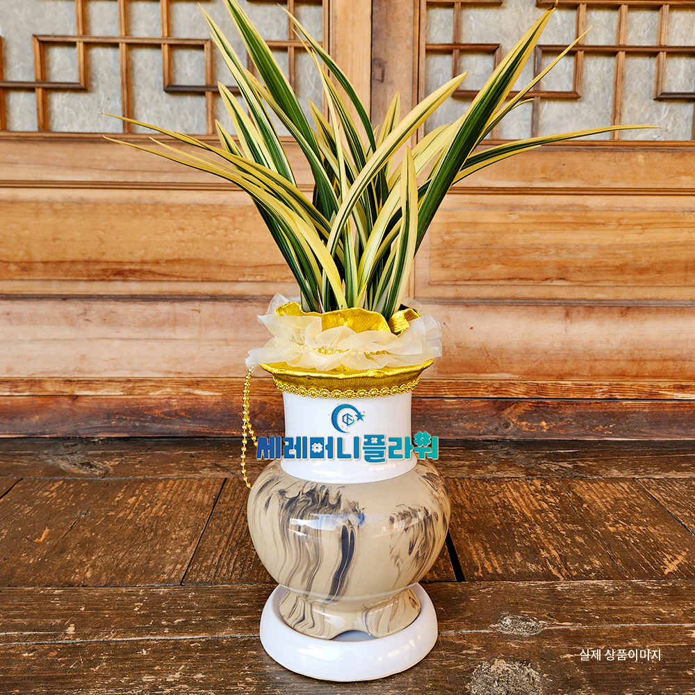 동양란 간편모음