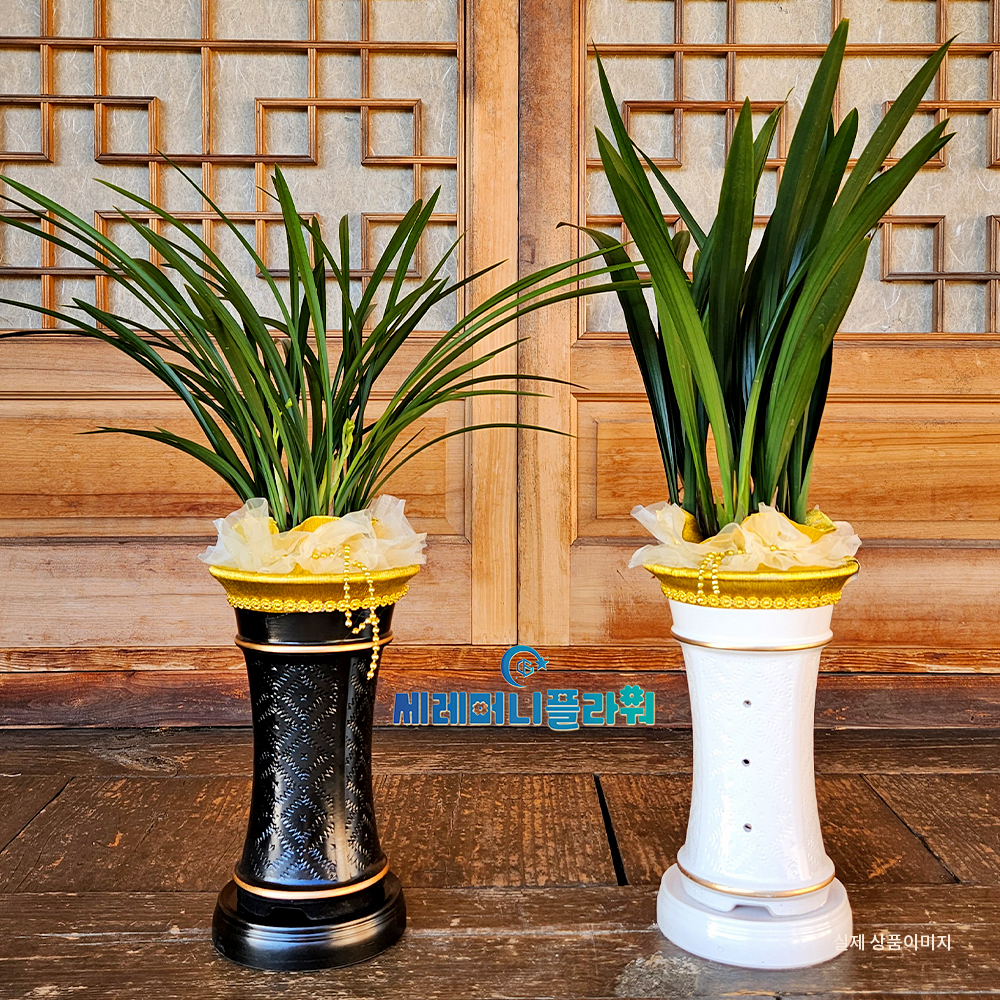 동양란 간편모음