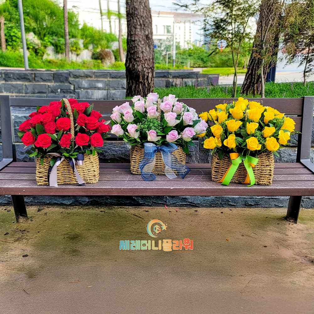 꽃바구니11호