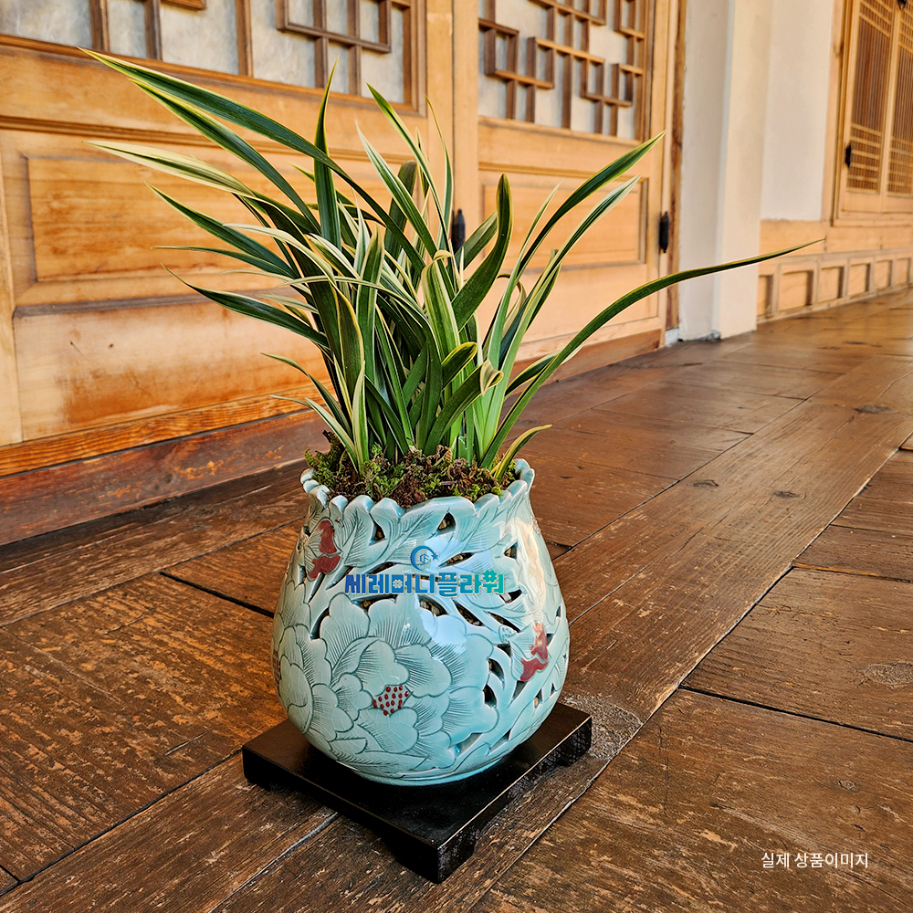 동양란12호 대국 이천도자기