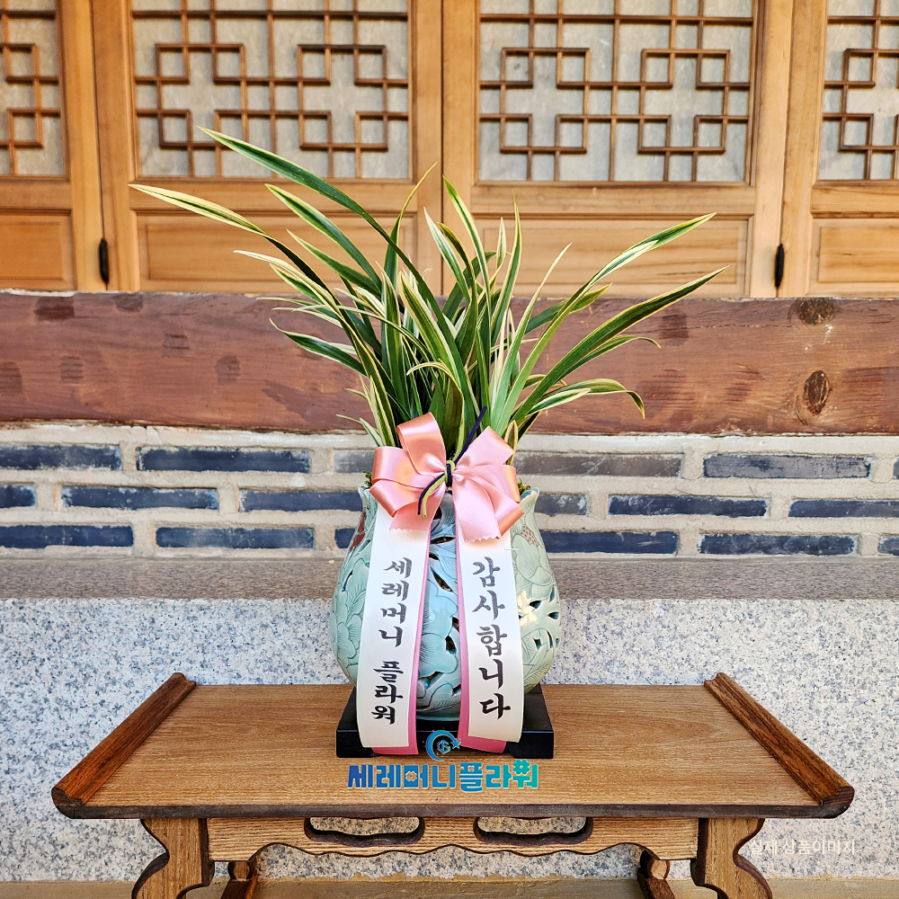 동양란12호 대국 이천도자기