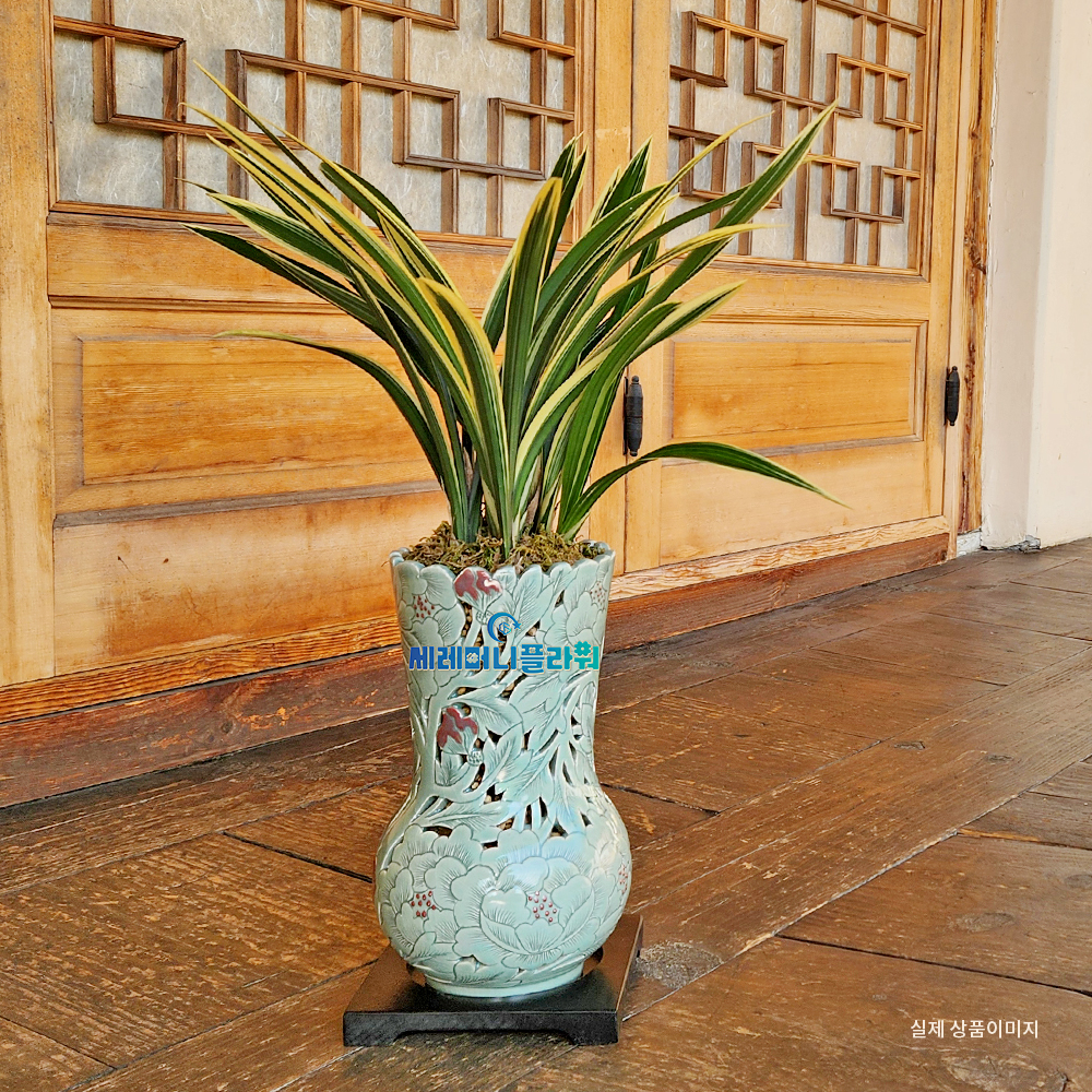 동양란15호 일향금 이천도자기