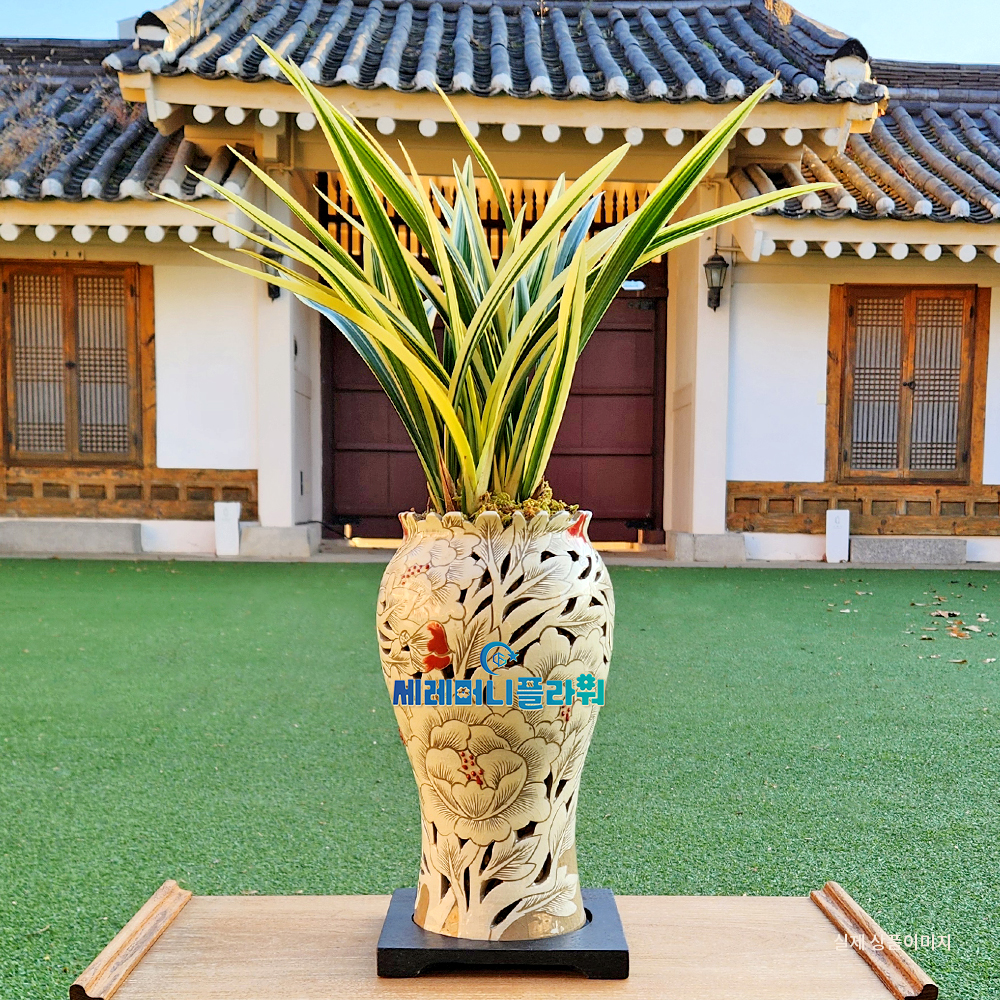 동양란16호 황금일향 이천도자기