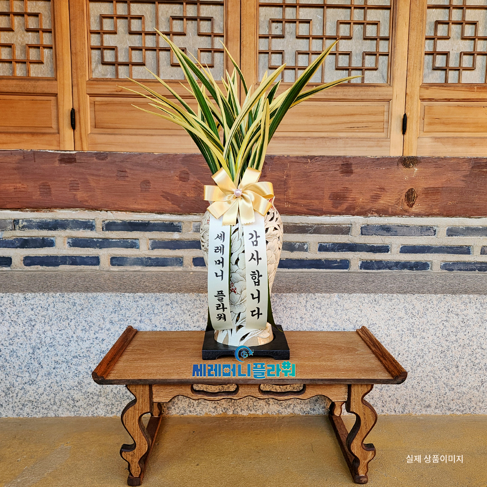 동양란16호 황금일향 이천도자기