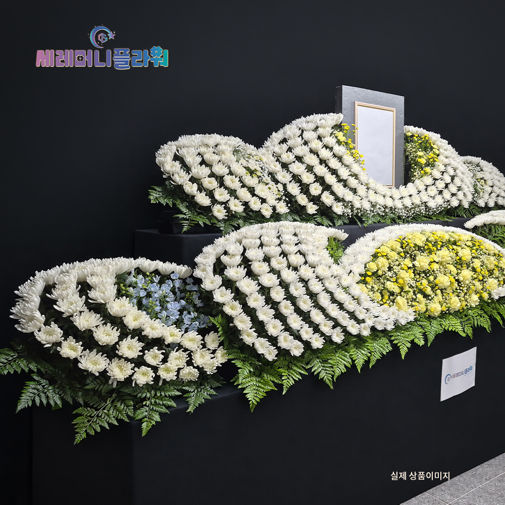제단꽃 8호