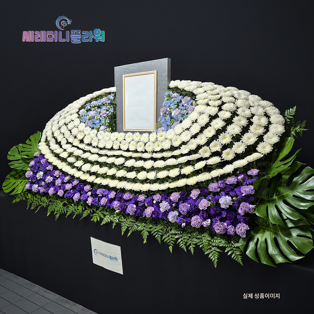 제단꽃 12호