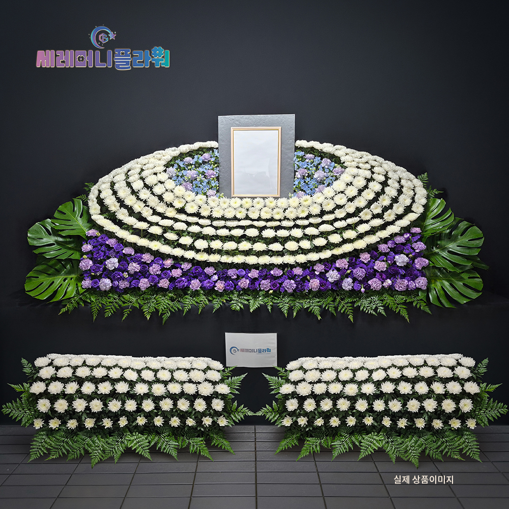 제단꽃 12호