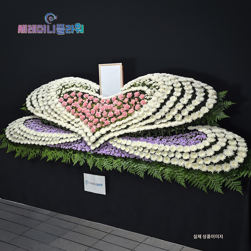 제단꽃 14호
